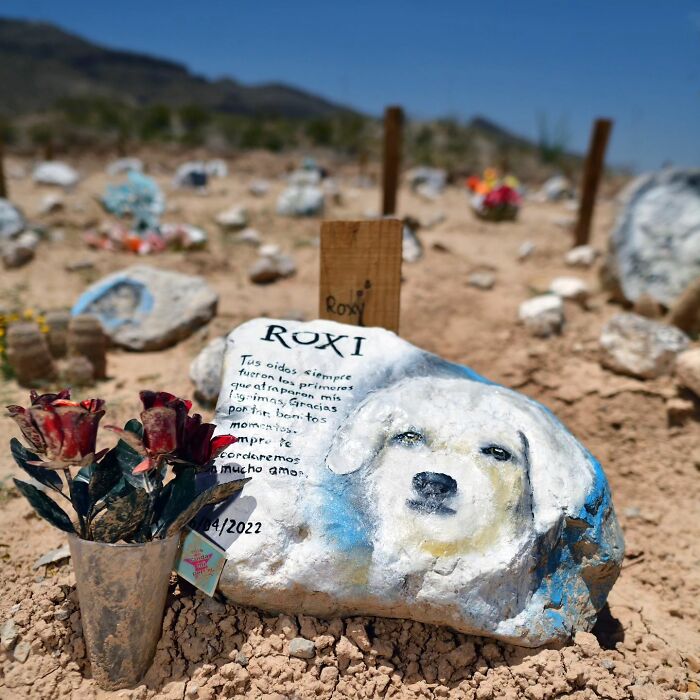 This Instagram Account Shows Us What Pet Cemeteries Tell Us About Human Emotions (23 Pics)