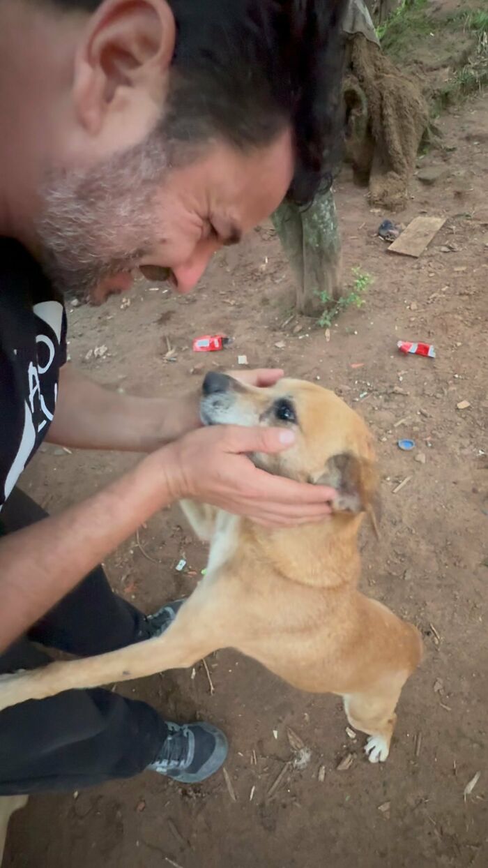 Man feeding stray dogs, petting a brown dog with affection in an outdoor setting.