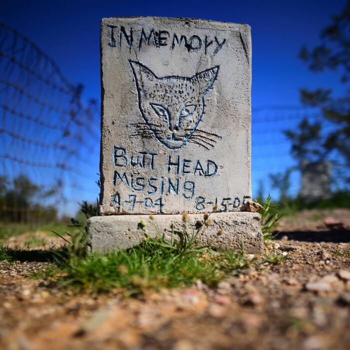 This Instagram Account Shows Us What Pet Cemeteries Tell Us About Human Emotions (23 Pics)