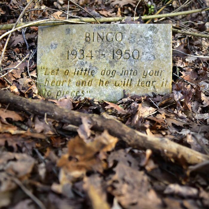 This Instagram Account Shows Us What Pet Cemeteries Tell Us About Human Emotions (23 Pics)