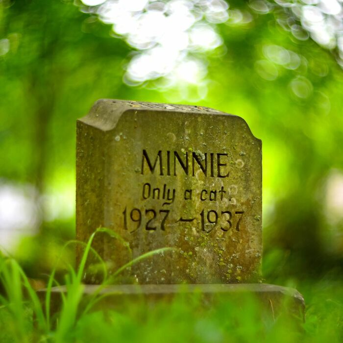 This Instagram Account Shows Us What Pet Cemeteries Tell Us About Human Emotions (23 Pics)