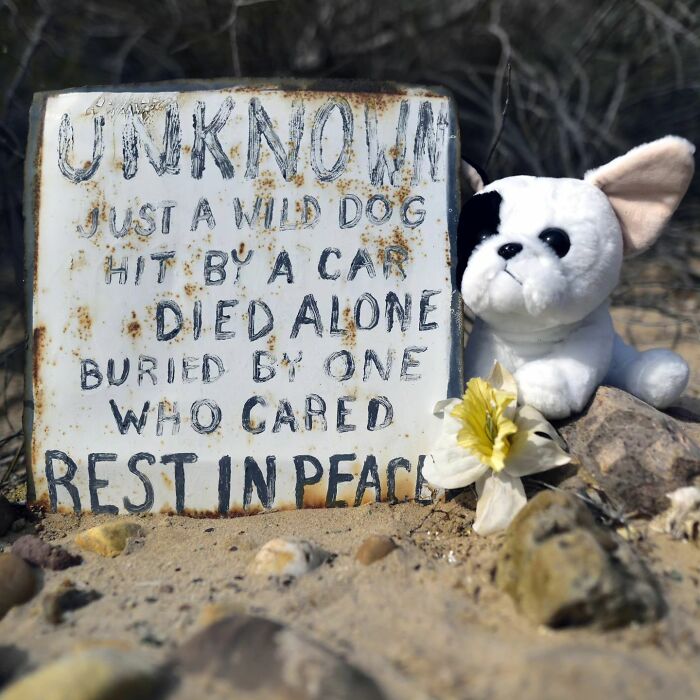 This Instagram Account Shows Us What Pet Cemeteries Tell Us About Human Emotions (23 Pics)