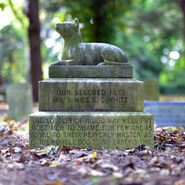 This Instagram Account Shows Us What Pet Cemeteries Tell Us About Human Emotions (23 Pics)