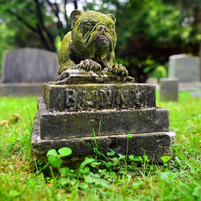 This Instagram Account Shows Us What Pet Cemeteries Tell Us About Human Emotions (23 Pics)