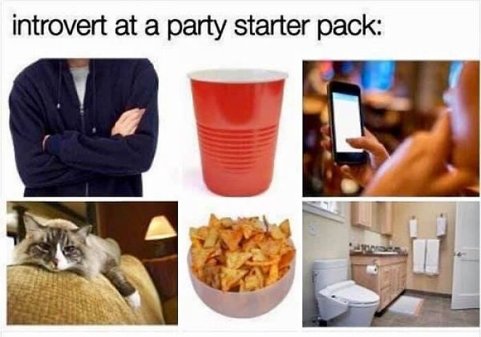 Hilarious-Relatable-Introvert-Memes