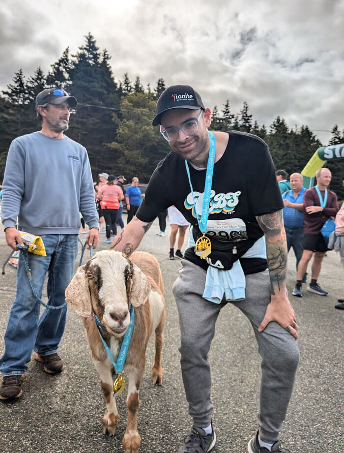 Local Goat Accidentally Enters A Half Marathon In Newfoundland And Wins A Medal