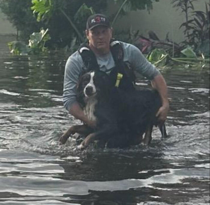  You Can Tell How Grateful This Pup Is To Be Rescued From Hurricane Milton Flooding