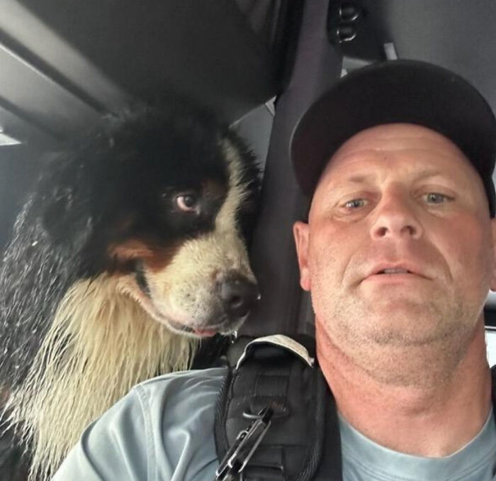  You Can Tell How Grateful This Pup Is To Be Rescued From Hurricane Milton Flooding