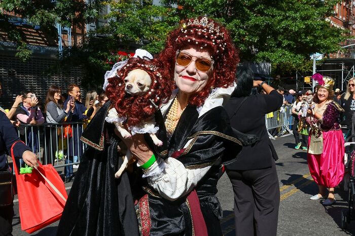 Spooky-Dog-Halloween-Parade