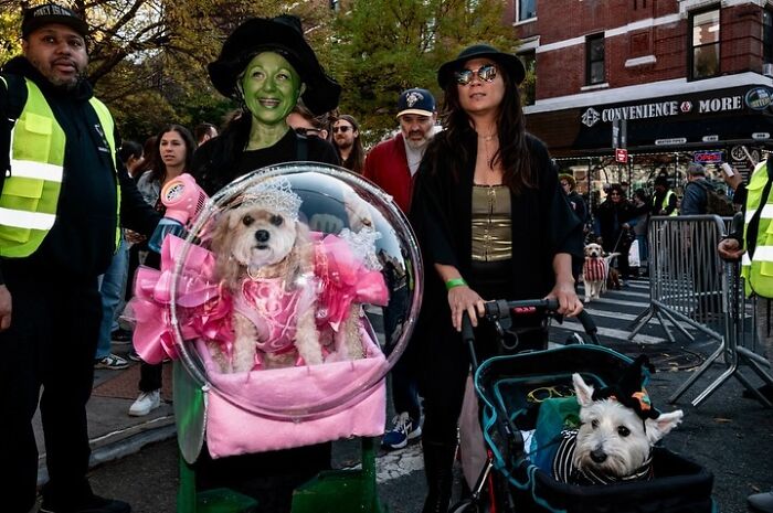 Spooky-Dog-Halloween-Parade