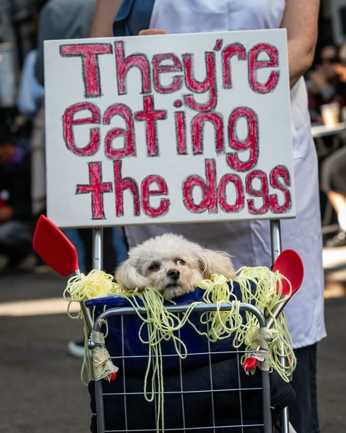 Spooky-Dog-Halloween-Parade