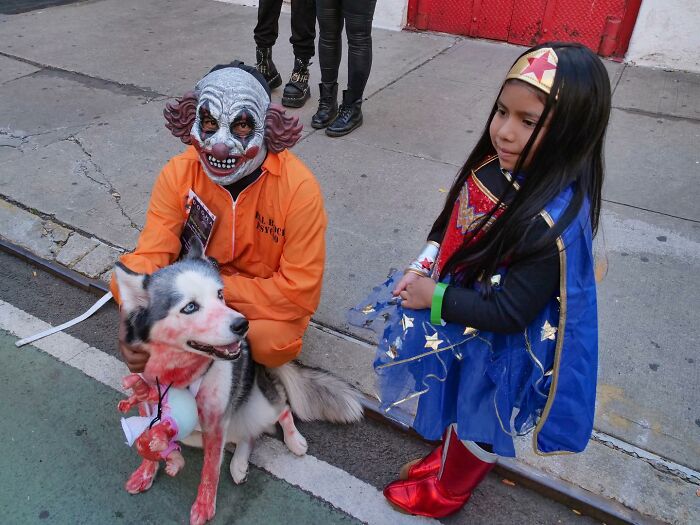 Spooky-Dog-Halloween-Parade