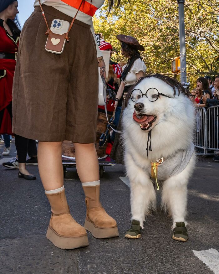 Spooky-Dog-Halloween-Parade