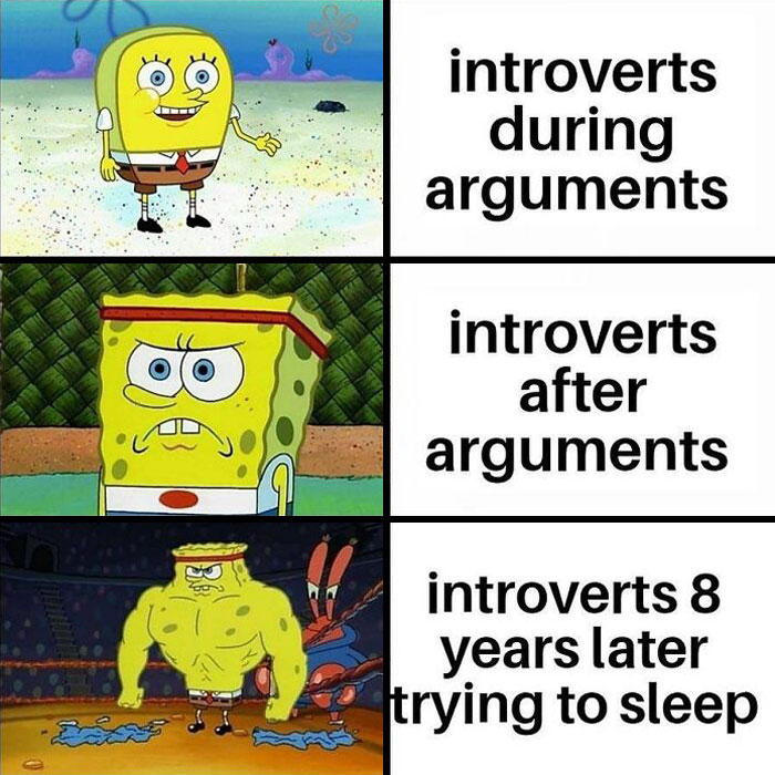 Hilarious-Relatable-Introvert-Memes