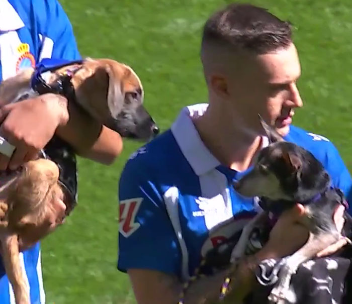 Abandoned Dogs Find Home After Football Team’s Awareness-Raising Action Before The Match