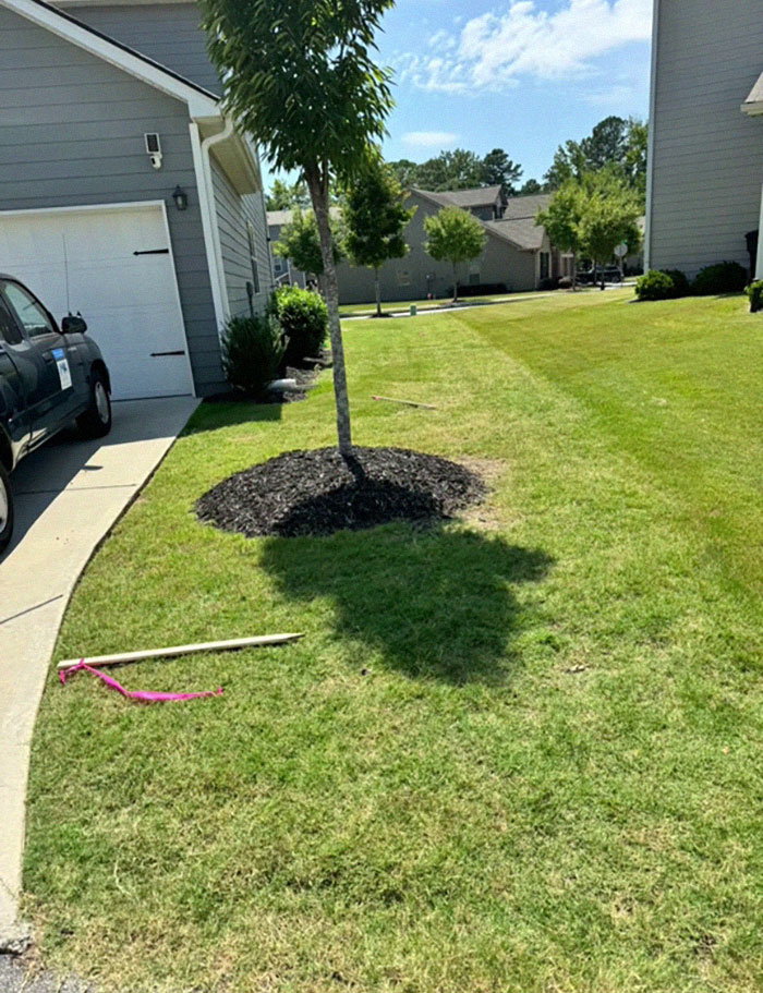 “I Was Trying To Be Kind”: Woman Gives Neighbor A Shot At Bigger Lawn, Faces Rudeness Instead