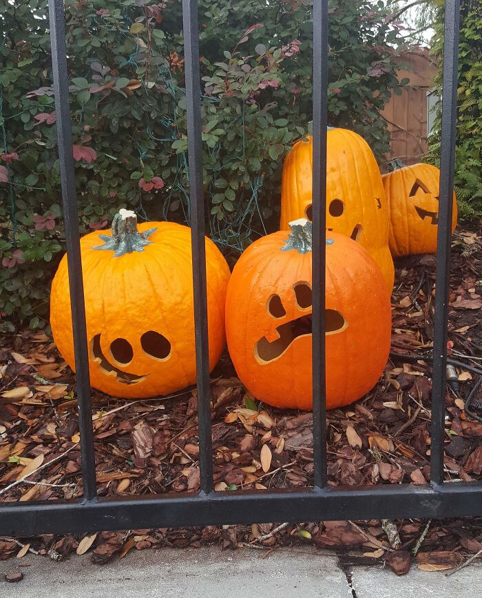 I Found A Meatwad Pumpkin In Universal Orlando