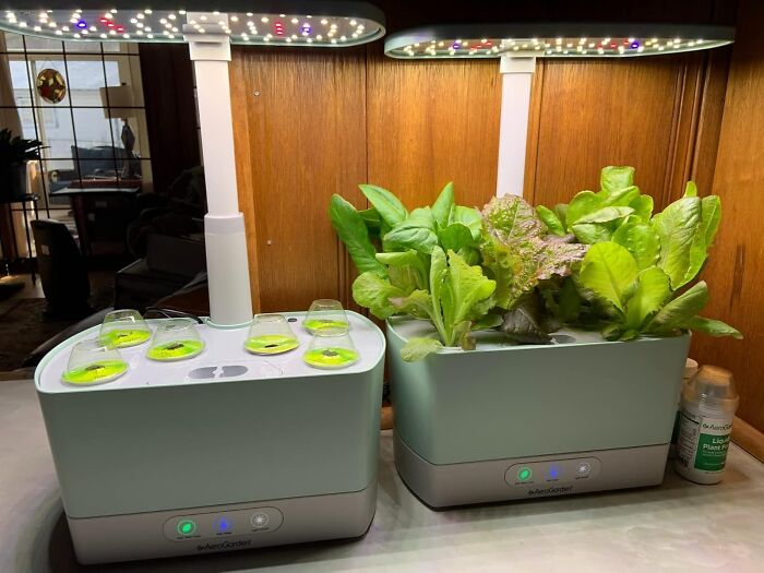 Who Needs A Green Thumb When You Have This? This Aerogarden Harvest Lets You Grow Fresh Herbs Year-Round, Even If Your Gardening Skills Are Limited To Keeping A Cactus Alive