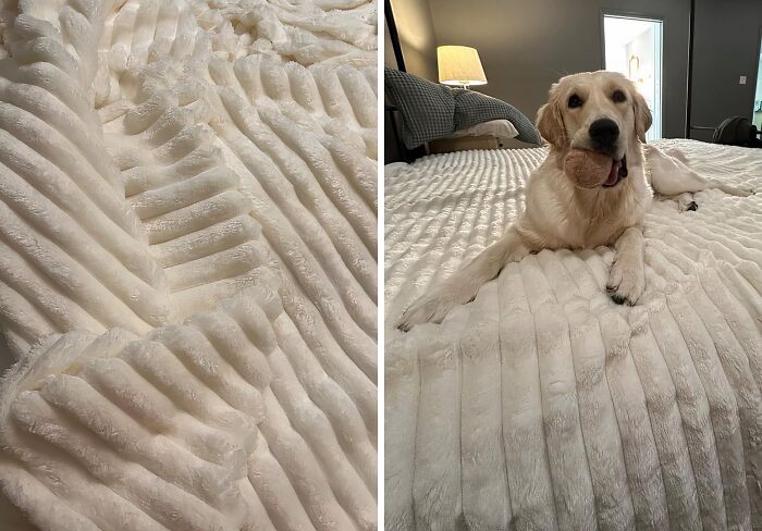  Good Luck Keeping Your Pets Off The Bed When This Super Soft Throw Blanket Comes Out This Winter