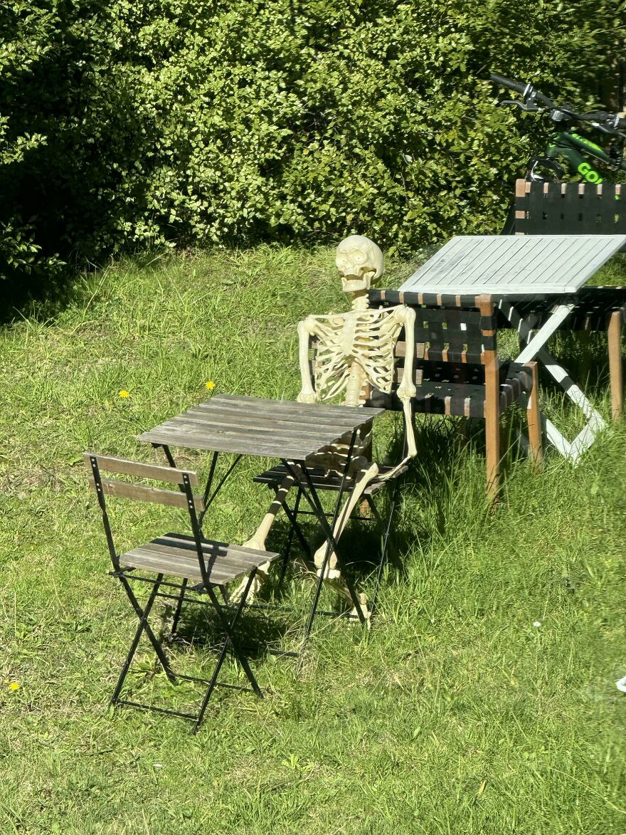 My Neighbor Brings Out His Skeleton To Sit Outside Only On Sunny Days