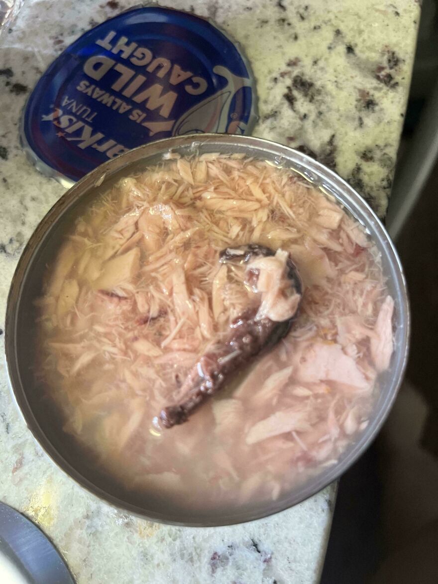 Found This In My Tuna Can???