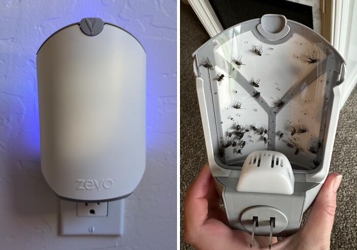  This Indoor Insect Trap Is A Discreet Way To Get Rid Of Pesky Fruit Flies That Are Always Buzzing Around Your Kitchen