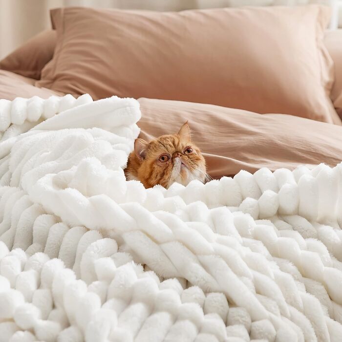  Buyer Beware: You Might Never Want To Get Out Of Bed Once You Bring Out This Super Soft Throw Blanket 