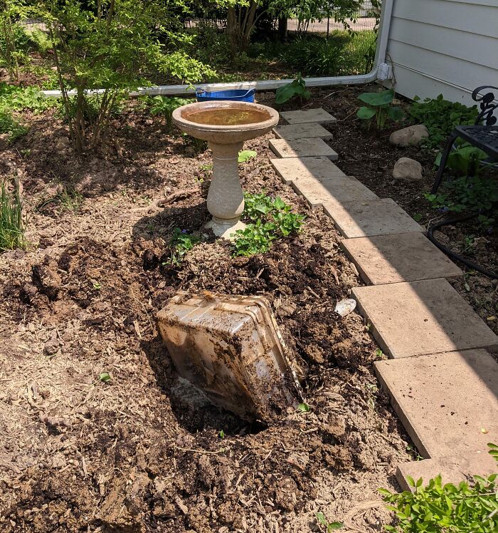 Please Don't Bury Your Pet In A Plastic Storage Bin. Someone (Me) Might Accidentally Dig It Up One Day