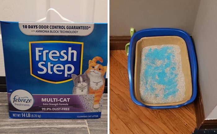  Clumping Cat Litter Makes Scooping Your Kitty's Business Much Easier