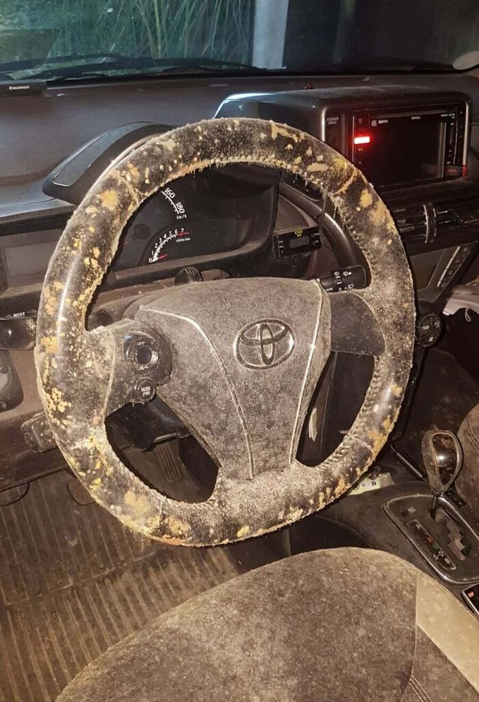 My Mom Left Her Car For 2 Months, Came Back To It Covered In Mold