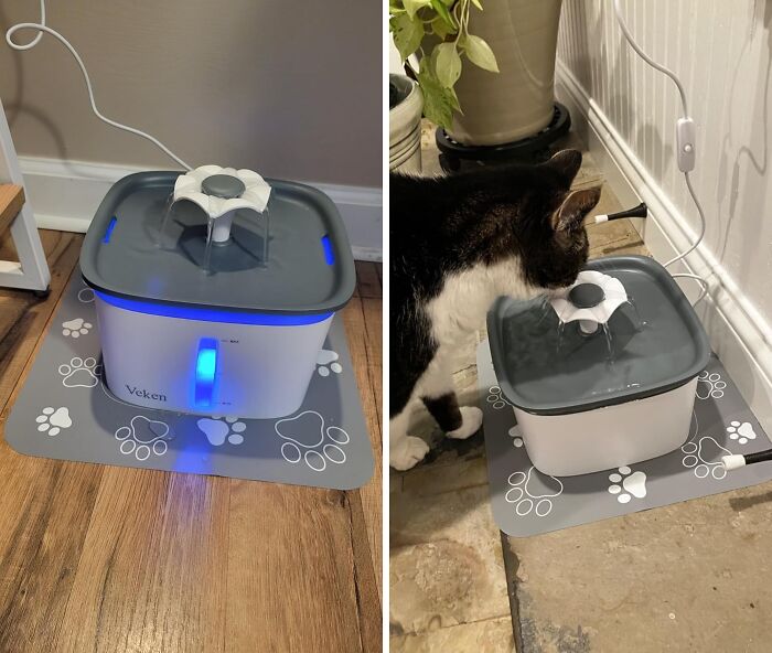  Not Even The Fussiest Kitty Can Resist The Freshness Coming From This Pet Water Fountain 