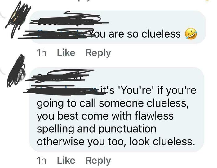 People correcting grammar online, showcasing overly-confident incorrect people.