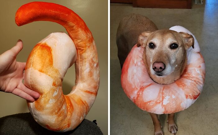 Warning: This Shrimp Neck Pillow May Cause Extreme Relaxation And An Overwhelming Urge To Curl Up In A Ball