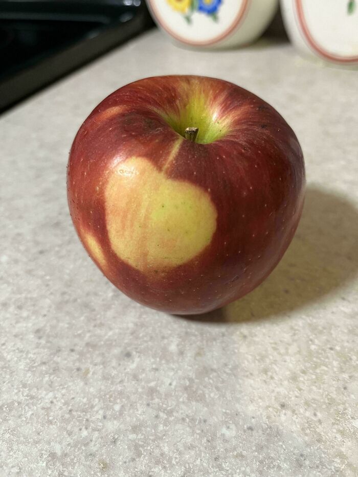 Apple with a heart-shaped spot on a countertop, showcasing something mildly interesting.