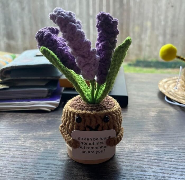  This Handmade Crochet Plant Will Live Forever But Also Brings You A Little Pick-Me-Up Message