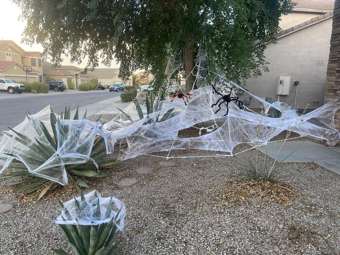 Get Tangled Up In Terror! The Halloween Spider Webs Decorations With 150 Extra Fake Spiders Spins A Web Of Deceit, Covering Your Home In Creepy, Crawly Chaos That'll Leave Your Guests Screaming