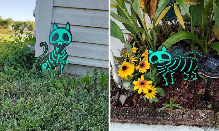 These Glow In The Dark X-Ray Cat Stakes Reveal A Hauntingly Cool Skeletal Secret