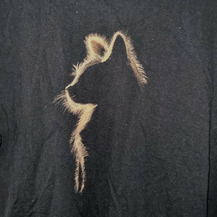 A Shirt That I Painted With Bleach