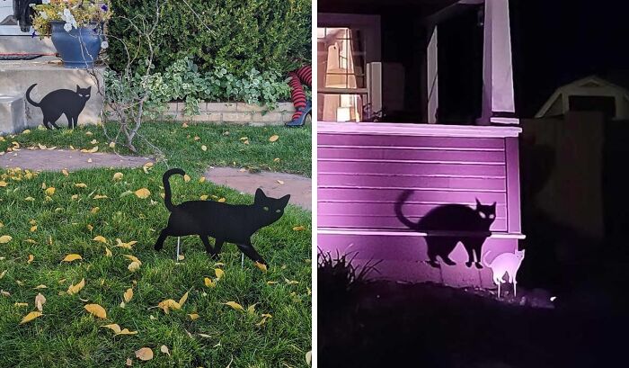  A Black Cat Yard Steak Casts Some Gloriously Ghoulish Shadows At Night