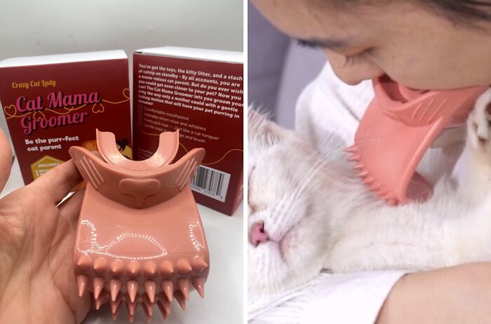 Take Your Feline Friendship To Uncomfortable New Heights With This Oddly Specific Bonding Cat Tongue Brush 