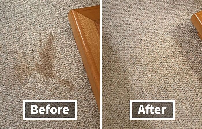 Blast Away Tough Stains And Odors In An Instant With This Powerful Stain And Odor Eliminator Spray - A Quick-Fix Solution That Saves You Time And Stress, So You Can Get On With Your Day Without Worrying About Stubborn Spills And Stains