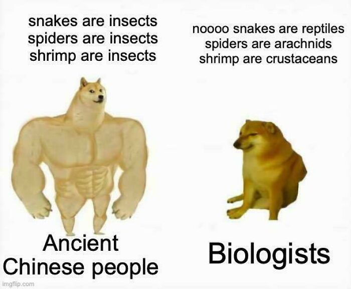 Hilariously accurate history meme comparing ancient beliefs versus biological facts using Doge characters.