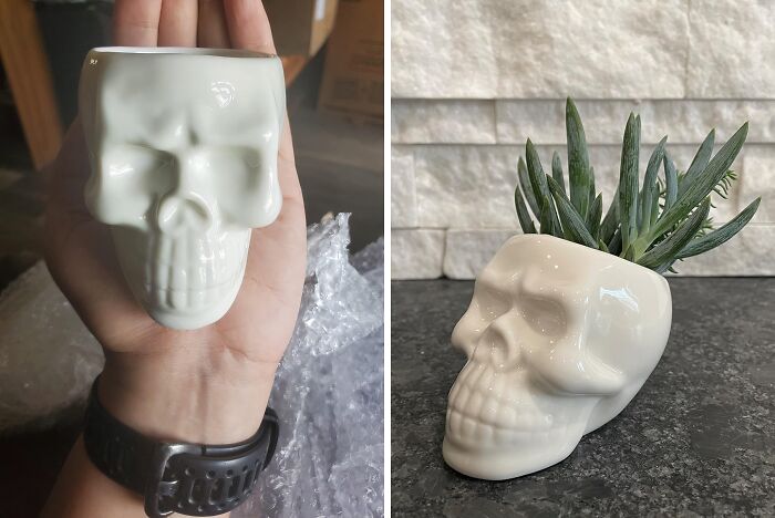 Add A Dash Of Macabre To Your Office Greenery With The Ceramic Skull Succulent Pots