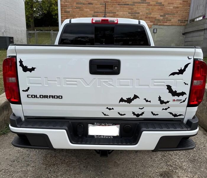 Stick It To Your Car With These Magnetic Bat Decals - They're The Perfect Way To Wing It