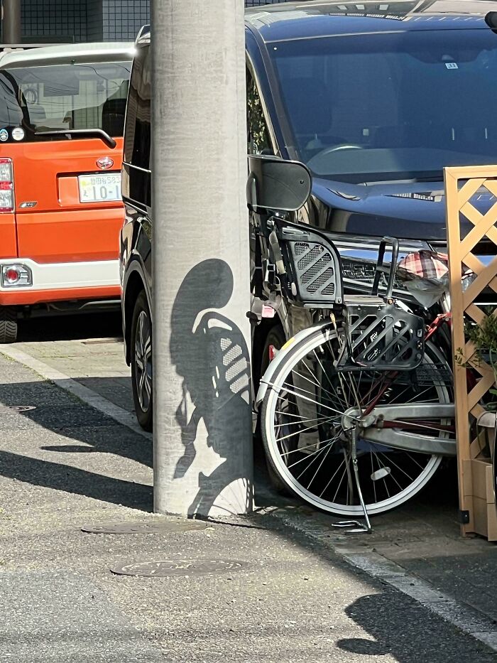 Shadow of a bicycle on a pole creates a mildly interesting optical illusion of a creature.