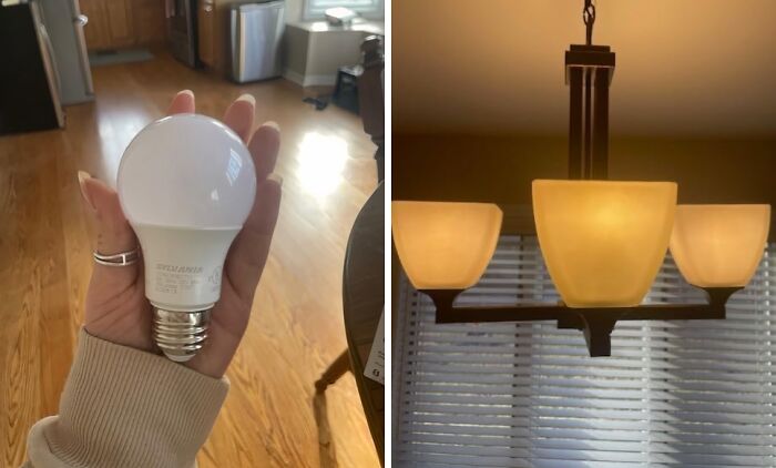  Energy Efficient Lightbulbs Are No Joke