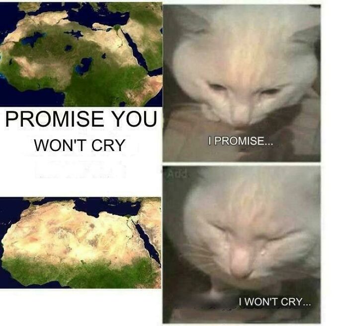 Crying cat meme humorously depicting history with sad tears over a map, capturing an emotional reaction to historical events.