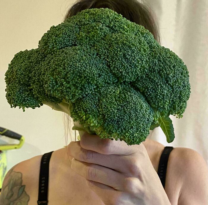 I Ordered One Head Of Broccoli On Coles Click And Collect And They Gave Me This Absolute Unit