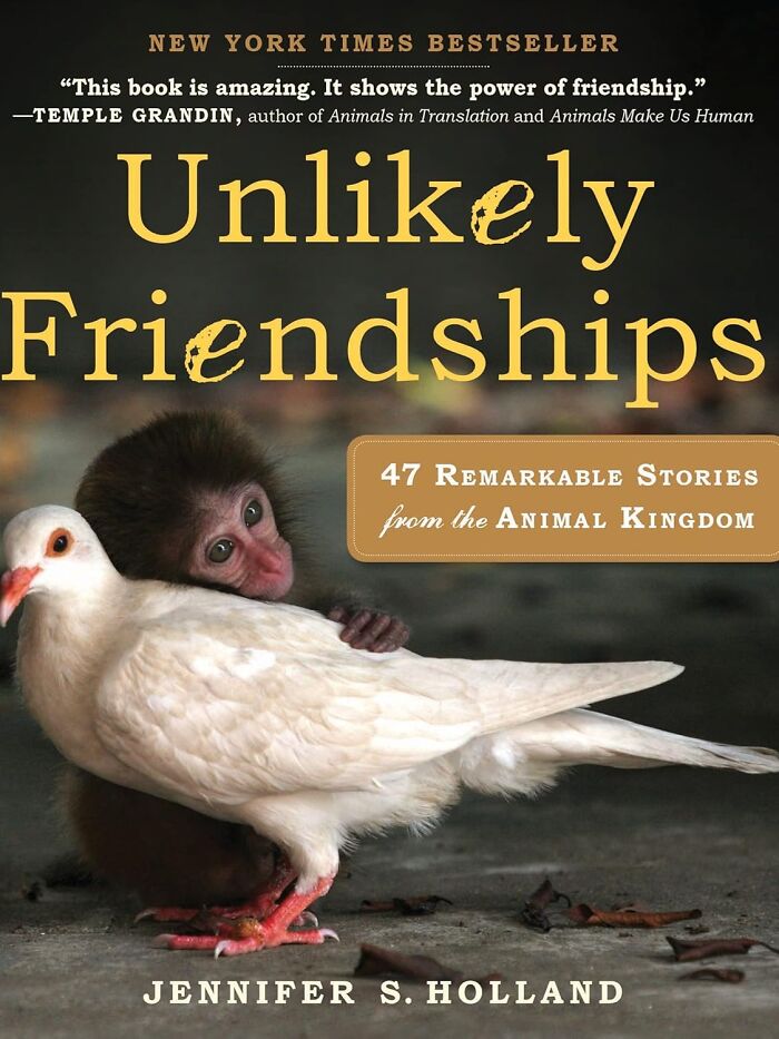  "Unlikely Friendships: 47 Remarkable Stories From The Animal Kingdom" Will Have You Going Wild For Love And Friendship – Even The Kind That's Not Toxic, Unlike The Stuff Your Aunt's Gossiping About At The Family Reunion In Two Stalls Over!