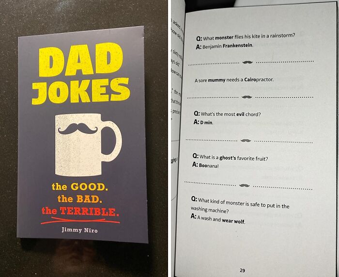 This Book Of "Dad Jokes: Over 600 Of The Best (Worst) Jokes Around" Will Give You Another Reason To Groan While On The John